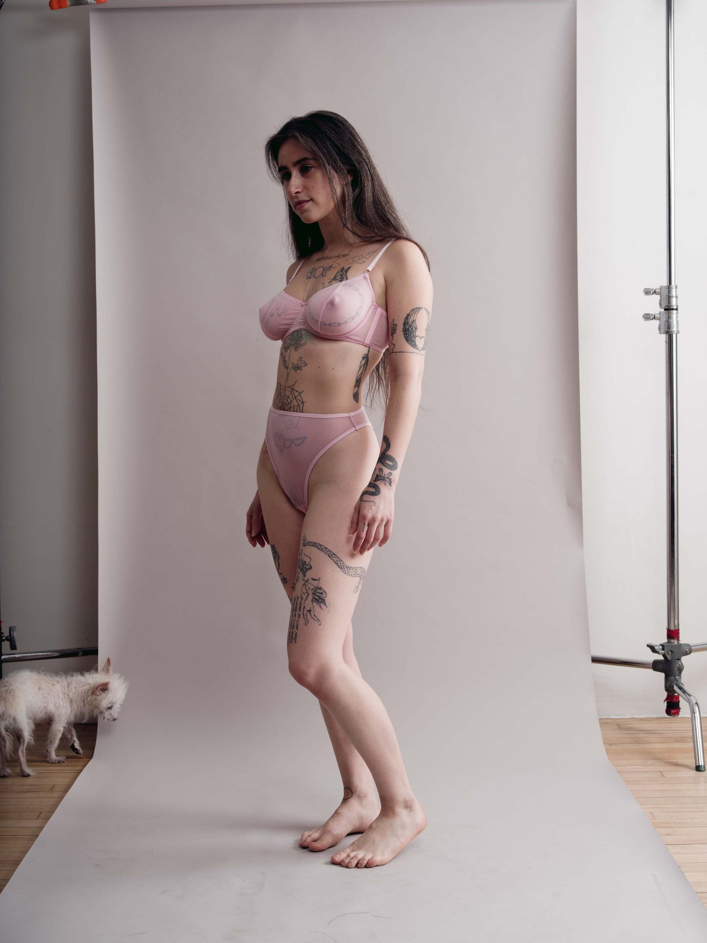 Ursula High-Cut Thong Baby Pink Mesh