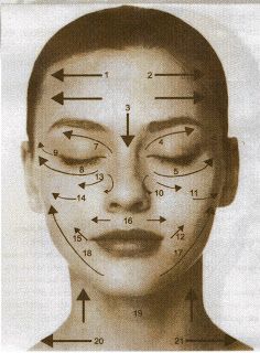 Rose Geranium Skincare Gua Sha tool stainless steel